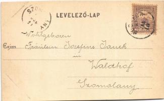 Budapest XXII. Budafok, Törley kastély délről tekintve (vágott / cut)