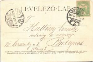 1904 Budapest II. Máriaremete, a volt régi kápolna, belső, templom oldalnézete, kegykép (EK)