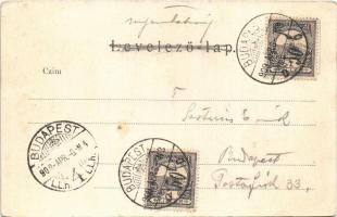 1909 Budapest V. Magyar Kir. Tudományos Akadémia, SZéchenyi szobor (ázott sarkak / wet corners)