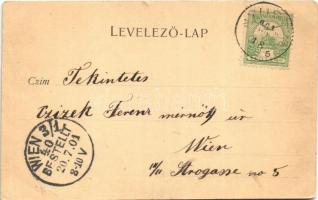 1901 Budapest V. Ferenc József rakpart, gőzhajó. Walter Haertel No. 1715. (EB)