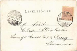 1899 Budapest VI. Nyugati pályaudvar, vasútállomás. Schmidt Edgar kiadása (kopott sarkak / worn corn...