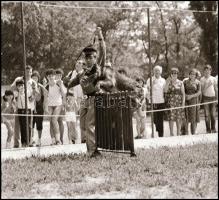 1984 Göd, BM kutyakiképző iskola, 16 db 6×9 cm-es negatív csíkokban