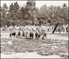 1984 Göd, BM kutyakiképző iskola, 16 db 6×9 cm-es negatív csíkokban