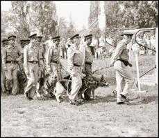 1984 Göd, BM kutyakiképző iskola, 16 db 6×9 cm-es negatív csíkokban