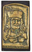 Baróthi Ádám (1945- ): II. Rákóczi Ferenc. Bronz fali plakett fa talapzaton, jelzett, hátoldalán feliratozott, 21x12 cm