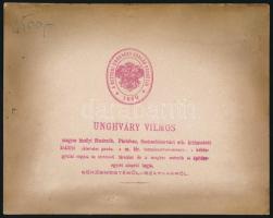 1863 Gyula, kisgyermek ravatala, kézzel színezett, feliratozott keményhátú fotó, Unghváry Vilmos m. ...