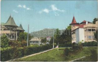 1925 Szováta fürdő, Baile Sovata; nyaralók. Borbély Gyula kiadása / Vilele la tara / Sommerfrische / villas