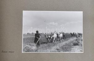 1947 Jugoszláviai építkezések és fejlesztések a kommunizmus időszakából, 25 db albumba ragasztott, f...