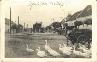 1953 Nagyigmánd (Komárom megye), utca libákkal és szekerekkel. photo (EK)