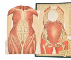 Platen M(oritz): Az új gyógymód. I-II. kötet. Fordította: dr. László Frigyes. Bp.,(1900), Schroeter ...