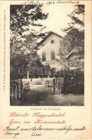 1900 Nagyszeben, Hermannstadt, Sibiu; Erlen parki cukrászda. F. Binder 11176. / Conditorei / confectionery