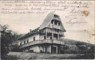 1925 Világos, Siria; Nyerges hegy, Dr. Angel villa / villa (fl)