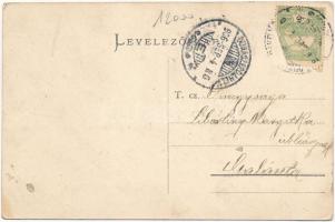 1906 Dunaszerdahely, Dunajská Streda; Teleki utca, Fő tér, Csallóközi takarékpénztár. Petényi Márk k...