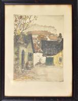 Paulovits Pál (1892-1975): Az utolsó levelek - Tabán. Színezett rézkarc, papír, jelzett, üvegezett keretben, 31×23 cm