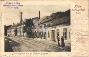 1901 Wien, Vienna, Bécs XI. Klein-Schwechat, Brauhausgasse mit A. Drehers Brauerei / street, brewery (fl)