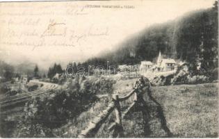 1914 Tuchla, Kolonia Wakacyhna w Tuchli / holiday resort, railway line, railway station + K.u.K. Eisenbahnregiment 5. Kompagnie