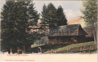 1911 Zakopane, Zagróda góralska / Polish folklore, cottage, highlander farm