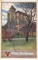 Maria Enzersdorf, Burg Liechtenstein / castle. Deutscher Schulverein Karte Nr. 164. (EK)