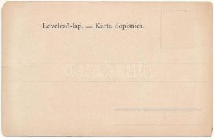 Lika-Korbava vármegye térképe. Kiadja Károlyi Gy. / Zupanija Licko Krbavska / Map of Lika-Krbava cou...