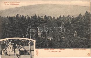 Oberursel (Taunus), Kurhaus Hohemark, Blick vom Kurhausturm in das Taunusgebirge, Wirtschaftsgebäude / spa, hotel, forest (EK)