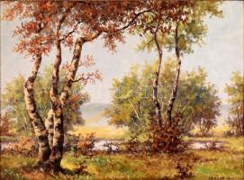 Veress Zoltán (1868-1935): Vízparti táj. Olaj, vászon, jelzett, dekoratív fa keretben, 58×78,5 cm