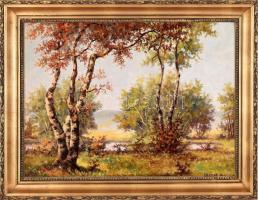 Veress Zoltán (1868-1935): Vízparti táj. Olaj, vászon, jelzett, dekoratív fa keretben, 58×78,5 cm