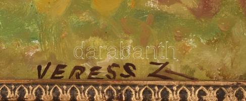 Veress Zoltán (1868-1935): Vízparti táj. Olaj, vászon, jelzett, dekoratív fa keretben, 58×78,5 cm