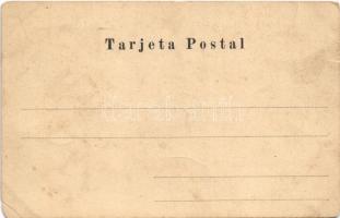 Buenos Aires, Casa de gobierno frente al Paseo Colón / government palace (EM)