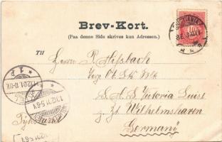 1901 Norge. Lappefamilie / Nordic Sami (Laplander) folklore, family (ázott sarok / wet corner)