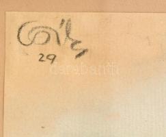 Olvashatatlan jelzéssel (Csik v. Csíky 29?): Budai látkép a Dunával. Pasztell, papír, kartonra kasír...