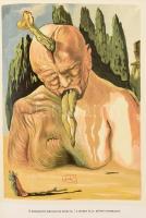 Dante Alighieri: Isteni színjáték. Ford.: Babits Mihály. Salvador Dalí illusztrációival. Bp., 1987, ...