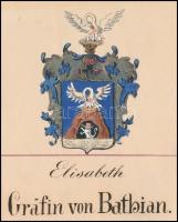 1891 gróf Batthyány Erzsébet nemesi címerének levéltári igazolás, a család kézzel festett címerével....