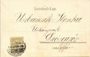 1904 Nagybecskerek, Zrenjanin, Veliki Beckerek; Ferenc József híd / bridge (EK)