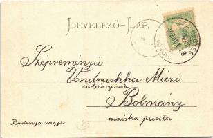 1902 Nagykikinda, Kikinda; Ferenc József tér, Rádák János könyvkereskedés és könyvnyomda, Pressburge...