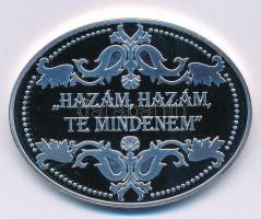 DN "Hazám, hazám, te mindenem / Legendás épületek - Zrínyi Miklós - Szigetvári vár" ezüstö...