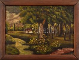 Jelzés nélkül: Erdőszéle. Olaj, karton. Kissé sérült (festék lepergéssel) Fa keretben. 26x39,5 cm