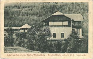 1926 Maroshévíz, Toplita; Bánffy-gyógyfürdő, Dezső Villa / villa