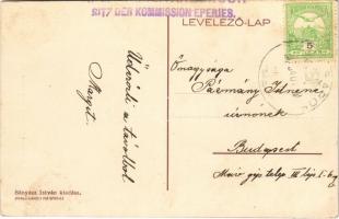 Nagysáros, Velky Saris; M. kir. állami elemi iskola és kisdedóvó, római katolikus templom. Bányász I...