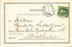 1902 Kalmar, Cavaljeren, Jernvegsstation / railway station. Hilma Petersen Art Nouveau, floral