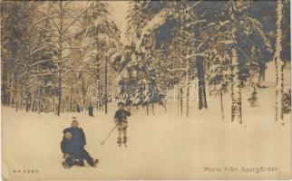 1910 Motiv fran Djurgarden / winter sport, ski, sled (EK)