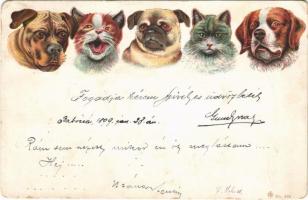 1899 Cats and dogs. litho (EB)