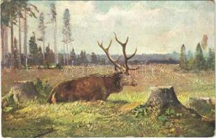 Hunter art postcard with deer. K.V.B. Serie 9028. s: Müller jun. (EK)
