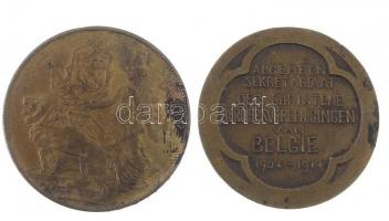 Belgium 1905. "EXPOSITION UNIVERSELLE LIÉGE 1905" kétoldalas Br emlékérem (30mm) + 1914. &...