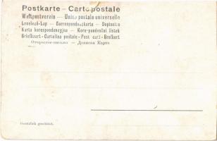 Der Lieutenant 1900. Bosnisch-herzegowinisches Infanterie-Regiment Nr. 2. / Austro-Hungarian K.u.K. ...