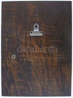 Szovjetunió ~1970. Vlagyimir Iljics Lenin" fém lemezplakett (135mm) fa talapzatra erősítve, hát...