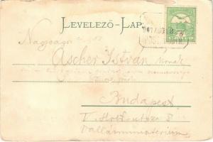 1907 Kéked, Alsókéked; Kéked-fürdő, gyógyforrás. Eschwig Ede F. Hajts Kornél felvétele (szakadás / t...