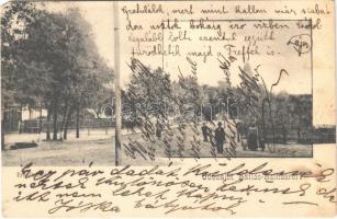 1904 Mezőszilas, Szilasbalhás; Erzsébet tér (EM)