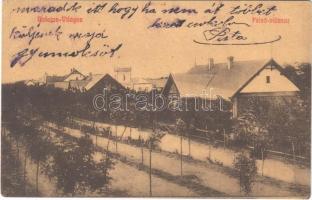 1913 Balatonvilágos, Felső villasor. 677. Mandel M. bérlő kiadása (EK)