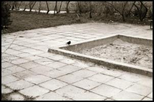 cca 1960 és 1985 között készült felvételek vegyesen, 325 db vintage NEGATÍV Magyar Alfréd budapesti ...