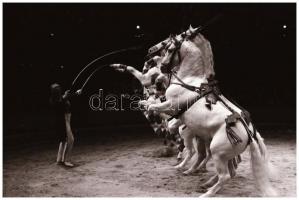 cca 1977 Budapesti Cirkusz, Kalocsai Rudolf (?-?) budapesti fotóriporter és fotóművész hagyatékából,...